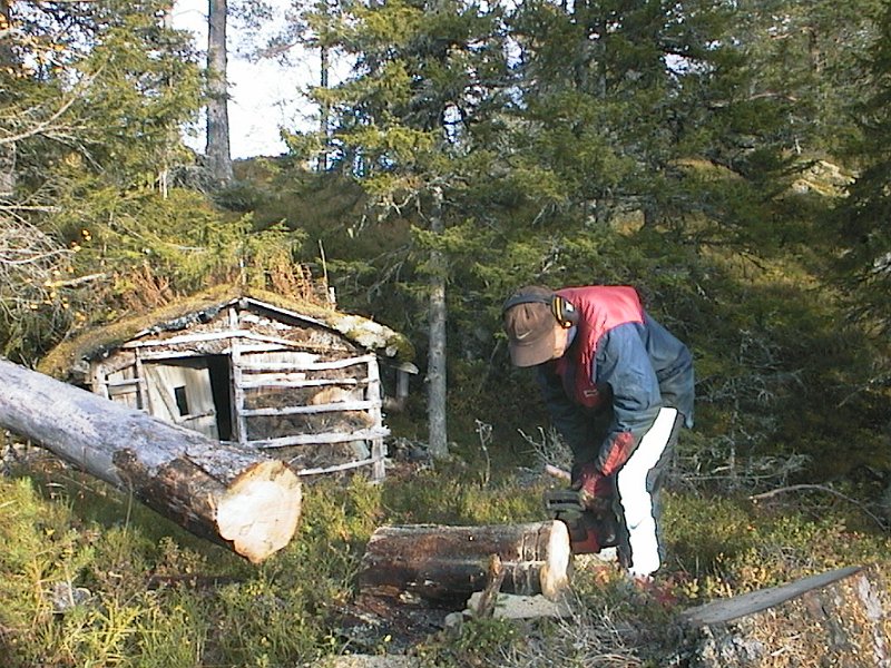 AUT_1426.JPG - Bergul Dag er ein heil kar med kje'saga