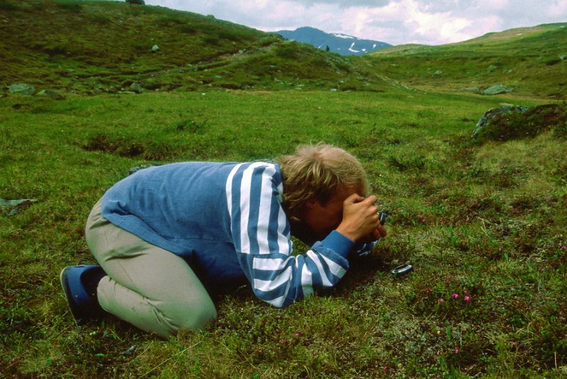 113_50.jpg - Naturfotograf og Bergul Roger i positur for makrofotografering. Motivet synes å være blålyng