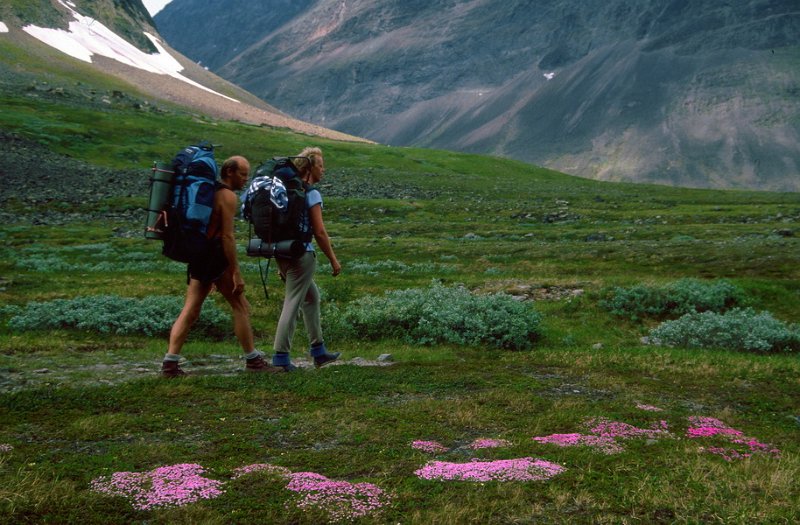 114_08.jpg - To Berguler på vandring mellom Fjellsmelletuer i Kebnekaise