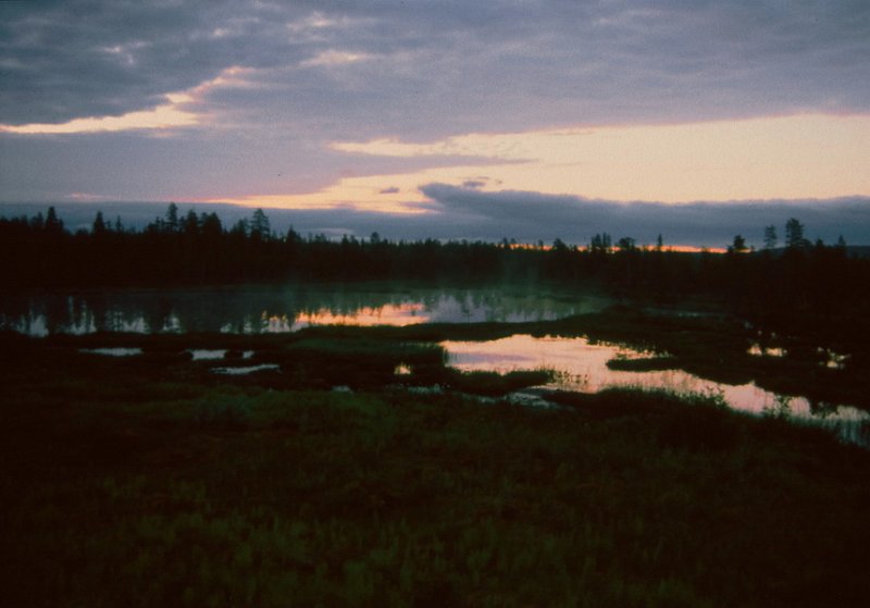 114_29.jpg - Kveldsstemning sør for Jokkmokk