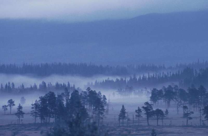 081_13.jpg - At morgenskodde har gitt mange foto-priser i konkurranser er lett å forstå
