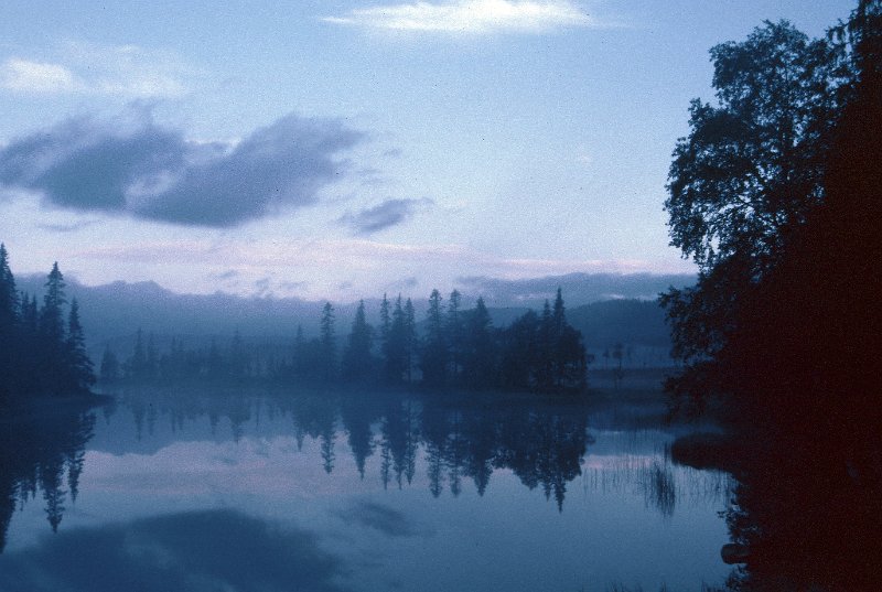 081_15.jpg - Det er så du formelig hører skriket til storlommen