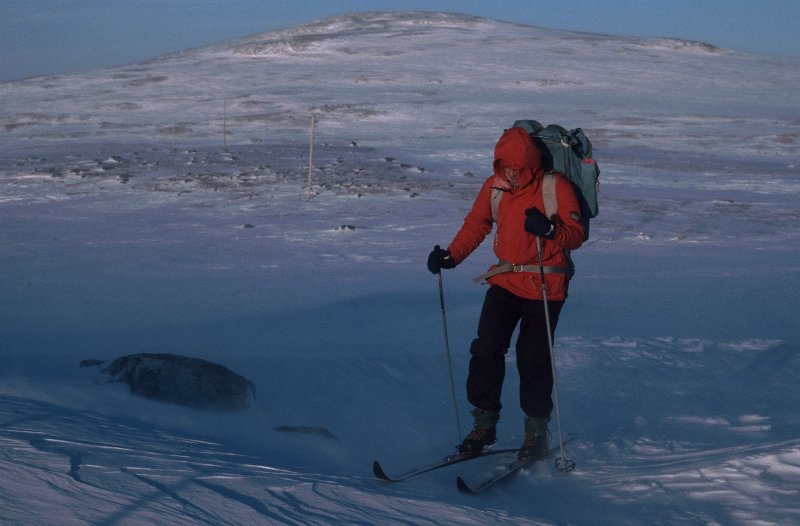 101_16.jpg - Vi gikk dagturer ut fra leisen vi hadde slått
