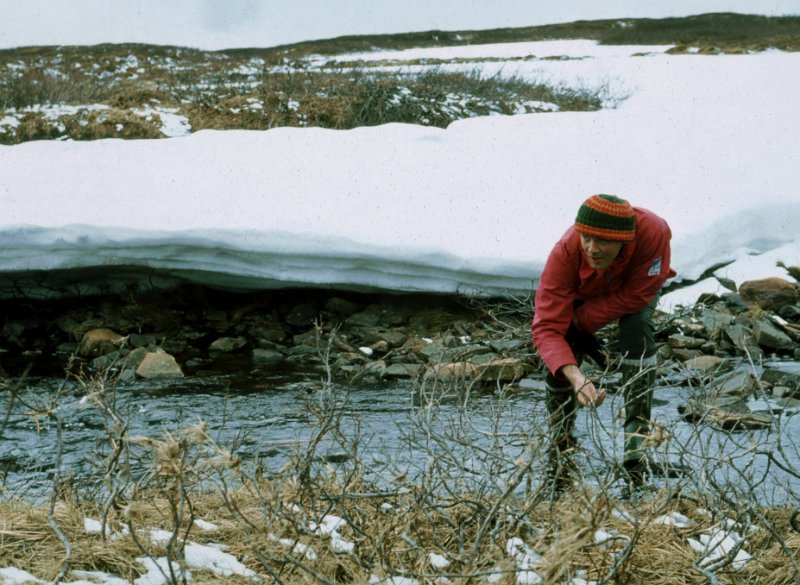 Dias08.jpg - En nåvvå kaillvatn fra bekken gjør bestandig godt i ein tørst skrott.