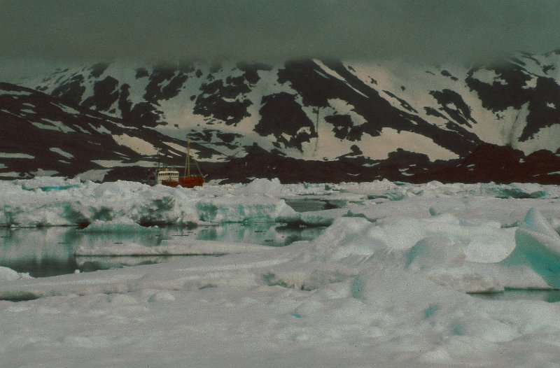 103_40.jpg - Årets første forsynigsbåt fra Danmark kommer inn fjorden mot Ammassalik