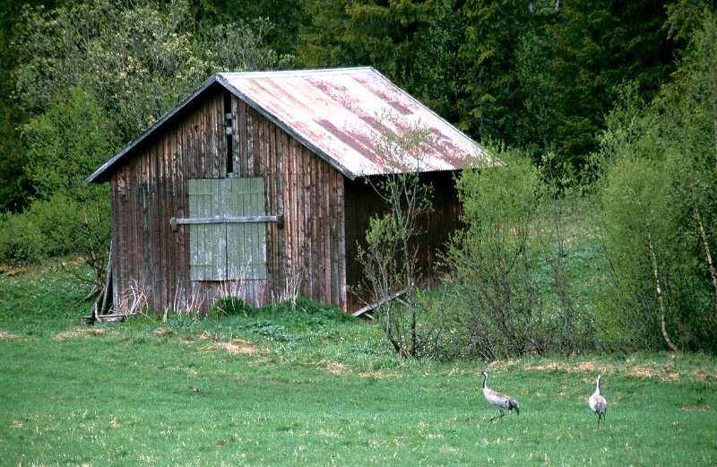 280_06.jpg - To traner