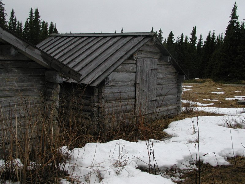 Epsn0125.jpg - Svedjebodarna heter denne vollen på veien mellom Presåsen og Ljungdalen