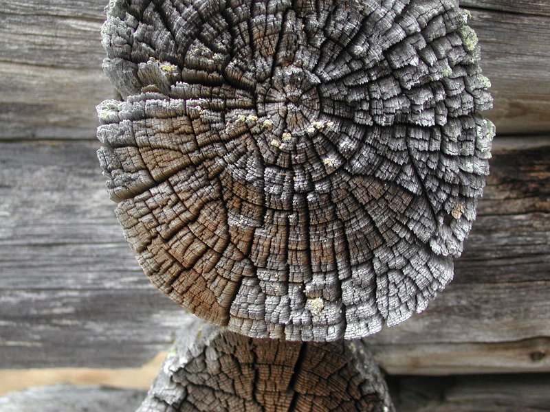 Epsn0127.jpg - En værslitt lafteknute