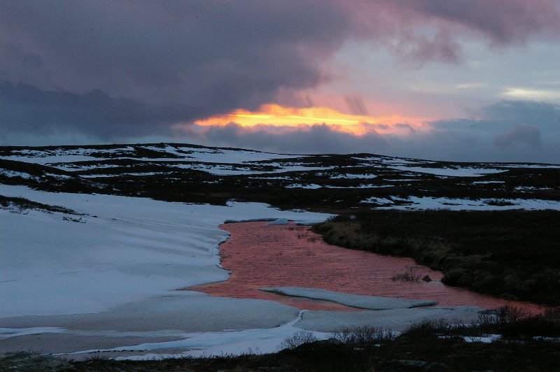 Imgp3696.jpg - Vårkveld i fjellet
